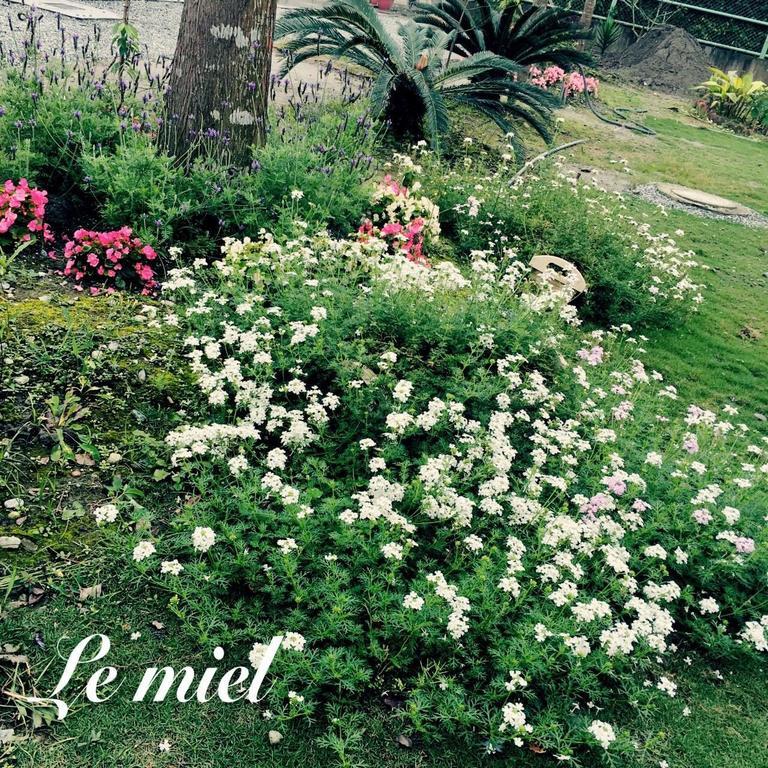 蕾蜜儿花园民宿 Pinghe 外观 照片