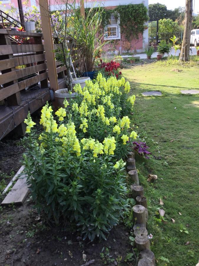 蕾蜜儿花园民宿 Pinghe 外观 照片