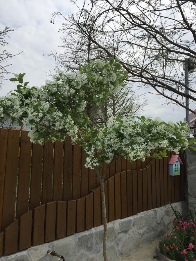 蕾蜜儿花园民宿 Pinghe 外观 照片